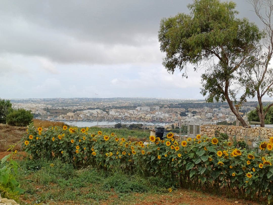 20230522 123449 Yentl Steurs 1080