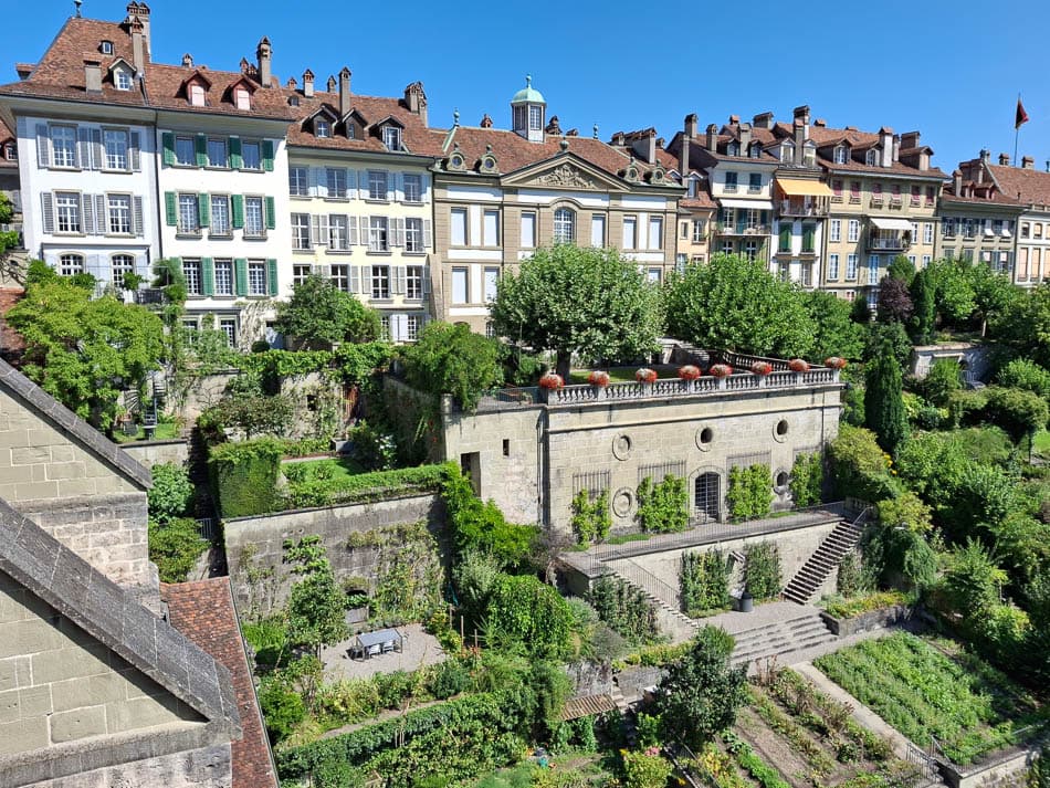 20240815 114527 Filip Dehaene (Prospectie) Filip Dehaene W950