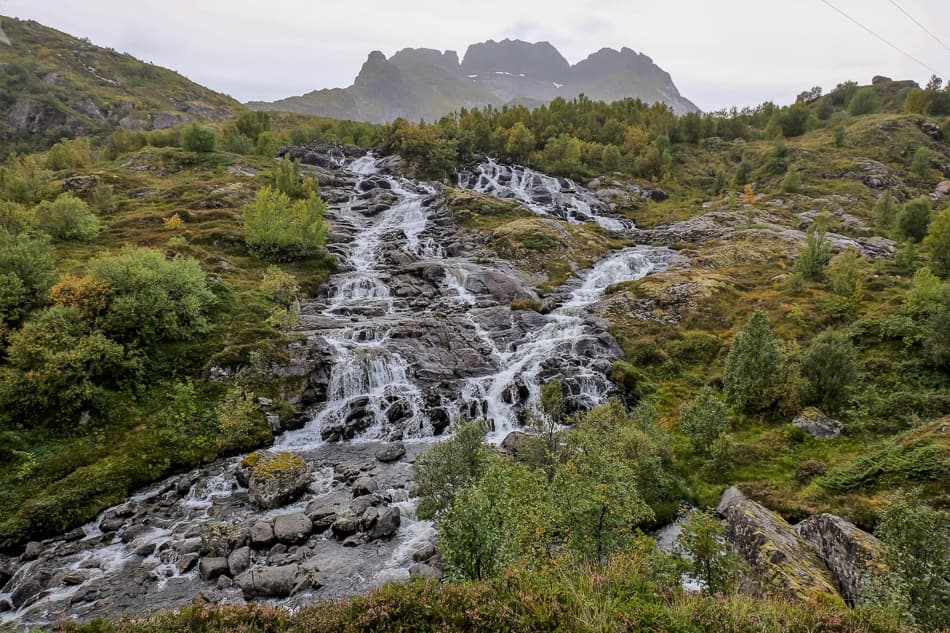 DSCF2234 2_export_w950