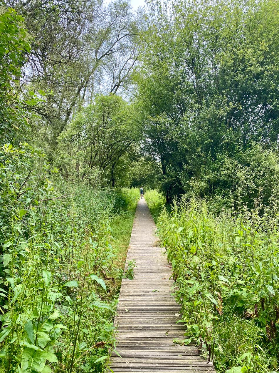 Image00001 Selectie Yasmin Haegeman W950