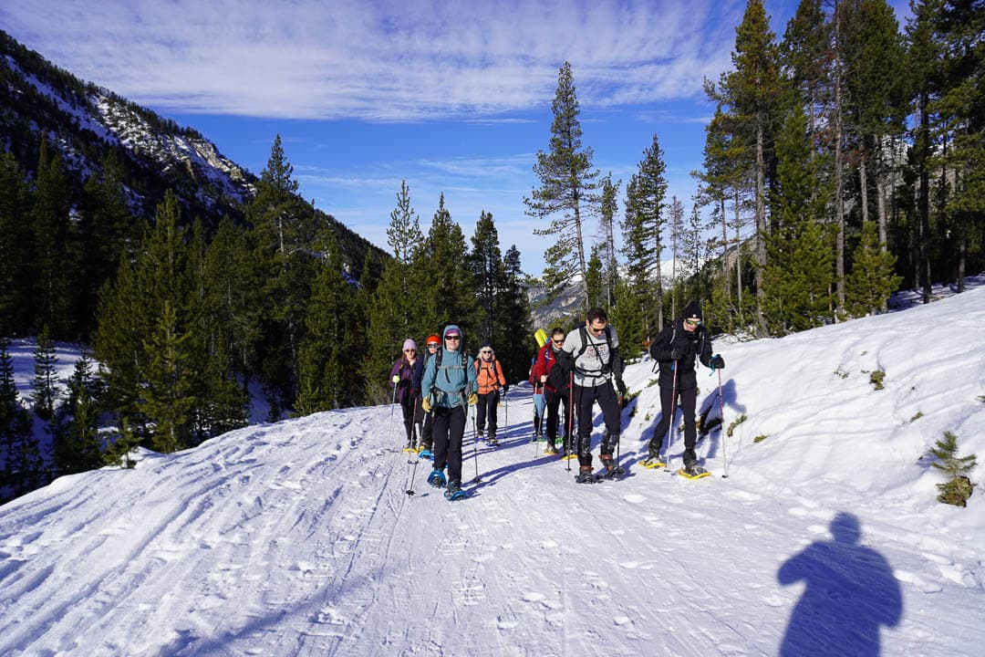Image00671 Van Dijck Kwinten 1080