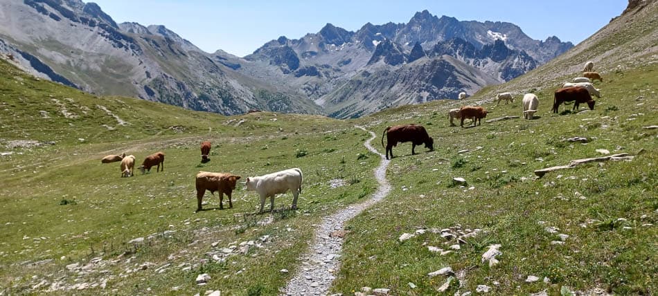 20230726_124108-Filip Dehaene-Filip Dehaene-w950