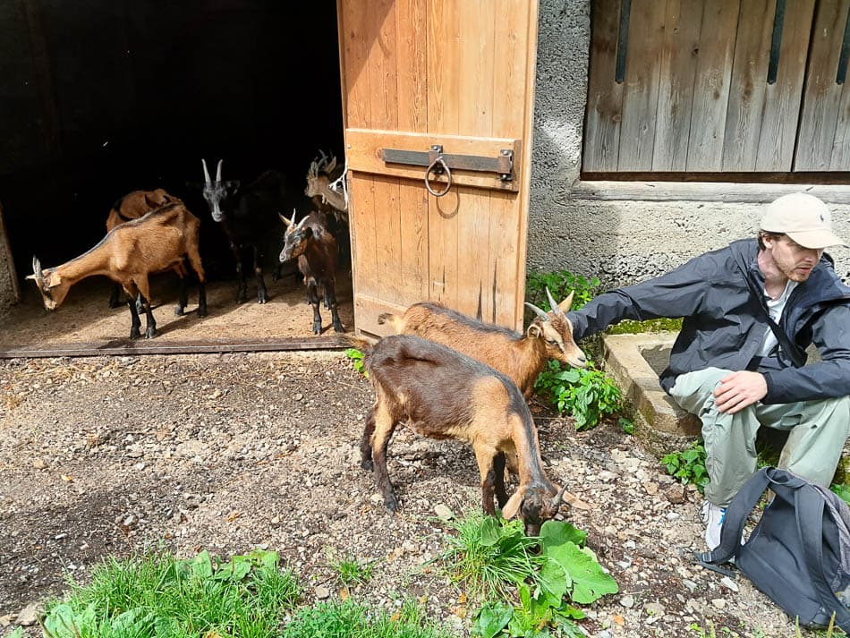 20240723 152211 Selectie Tom Cornelis W950