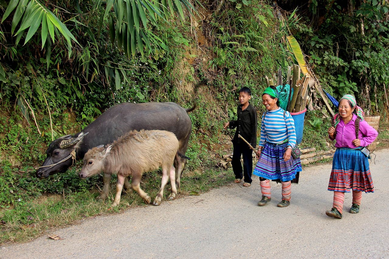 VN 345 Selectie Arne Vanwijnsberghe W1280