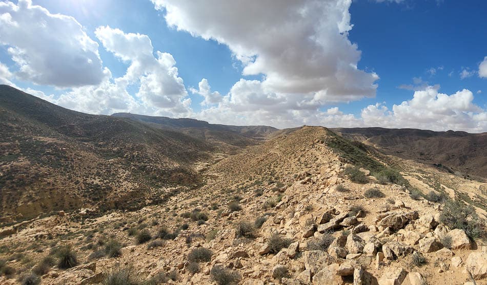 20241112 123736 Selectie Anneleen Jansen W950