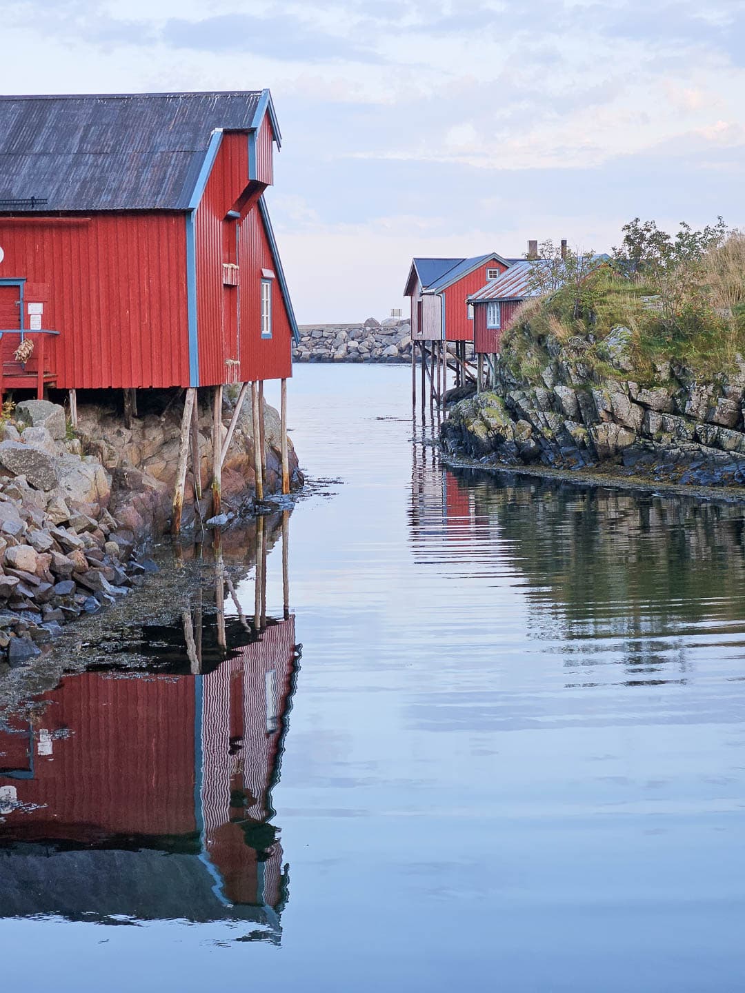 NO4LFA Cedricon 2024 (7) Cedric On 1080