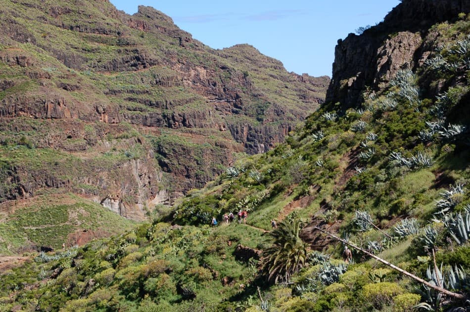 GR13-109-La-Gomera-07-Luc-Lioen-04-Custom