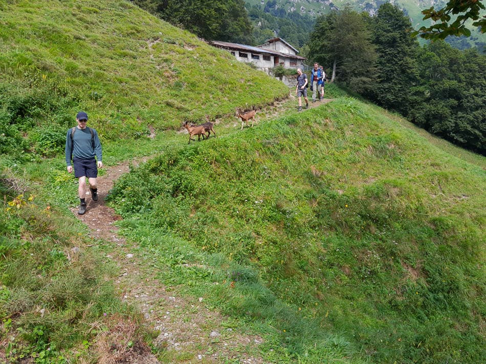 20240723 152844 Selectie Tom Cornelis W950