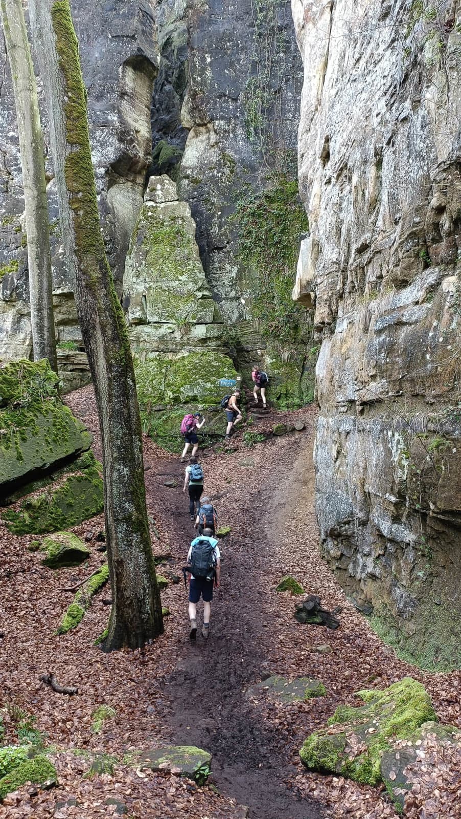 IMG20240405130414 2024 Kevin Vd Moortele Kevin Vd Moortele W950