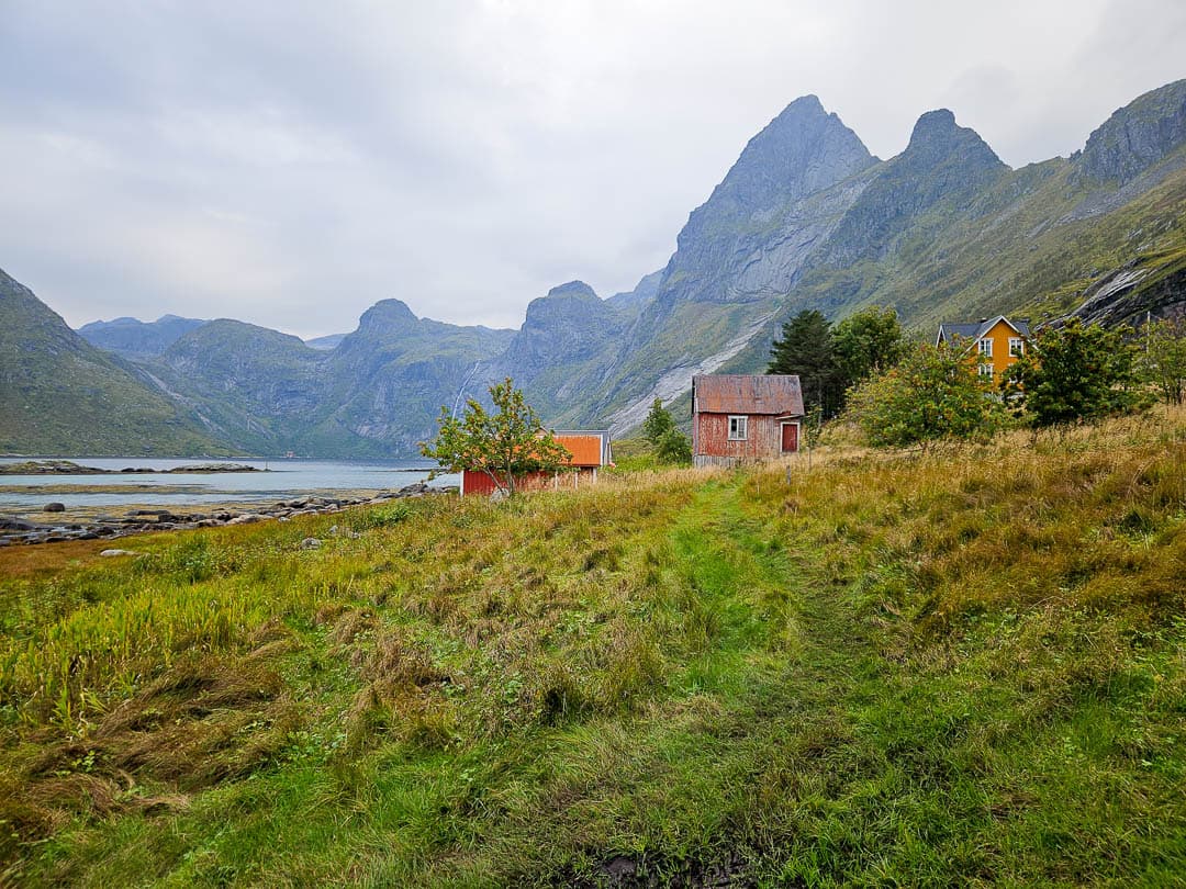 NO4LFA Cedricon 2024 (6) Cedric On 1080