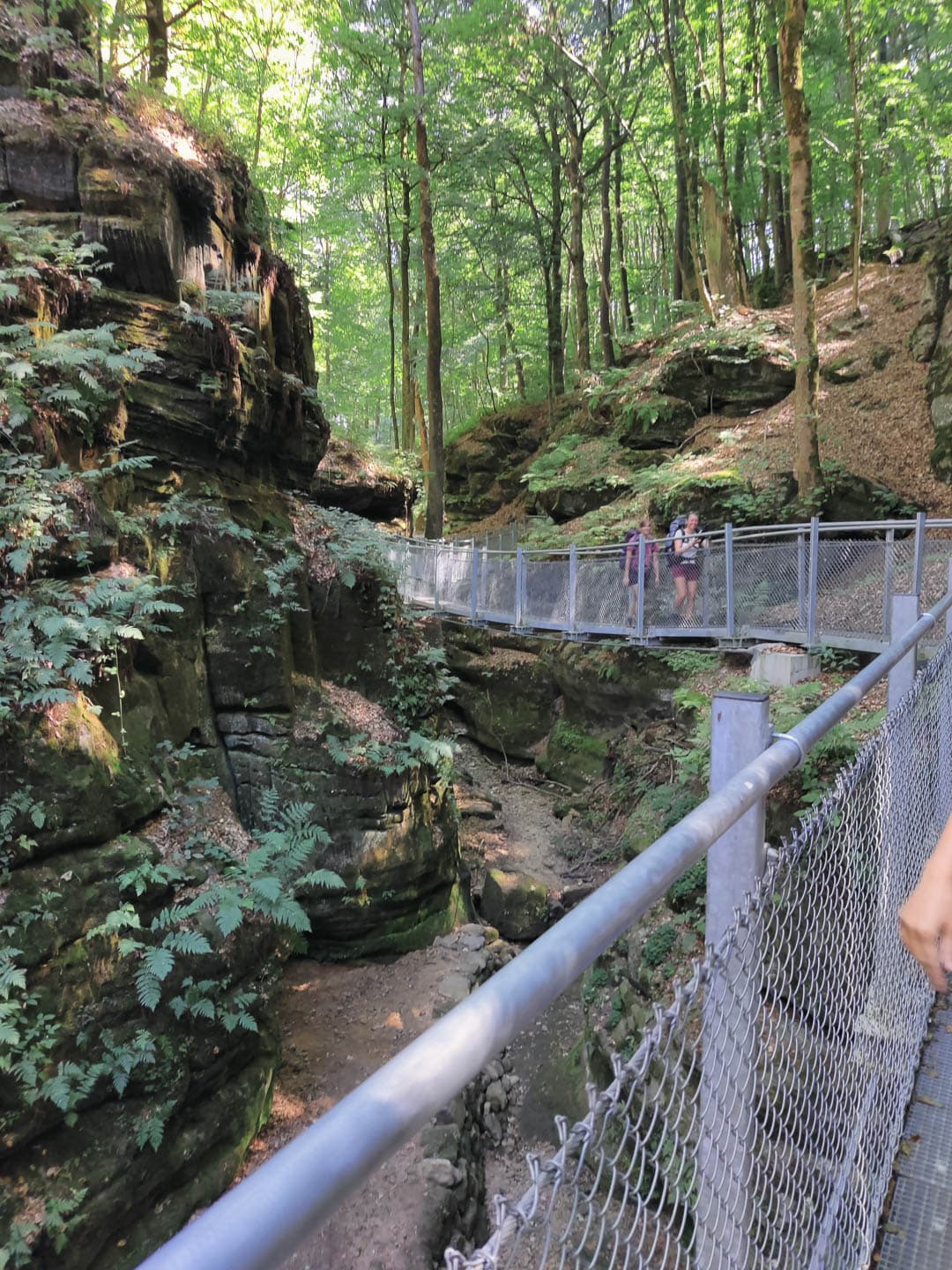 IMG 20220812 130511 David Van Der Ha 1080