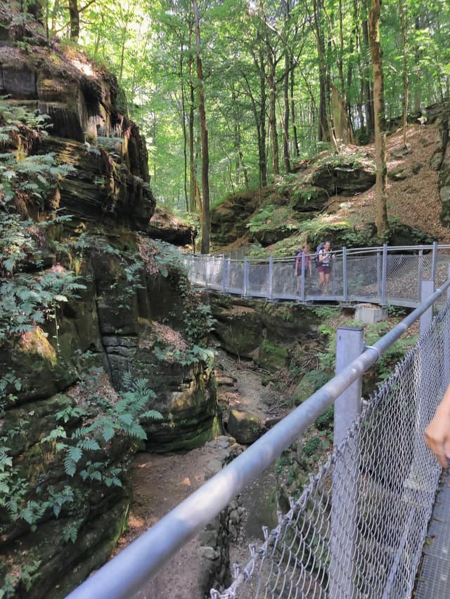 IMG 20220812 130511 David Van Der Ha 1080