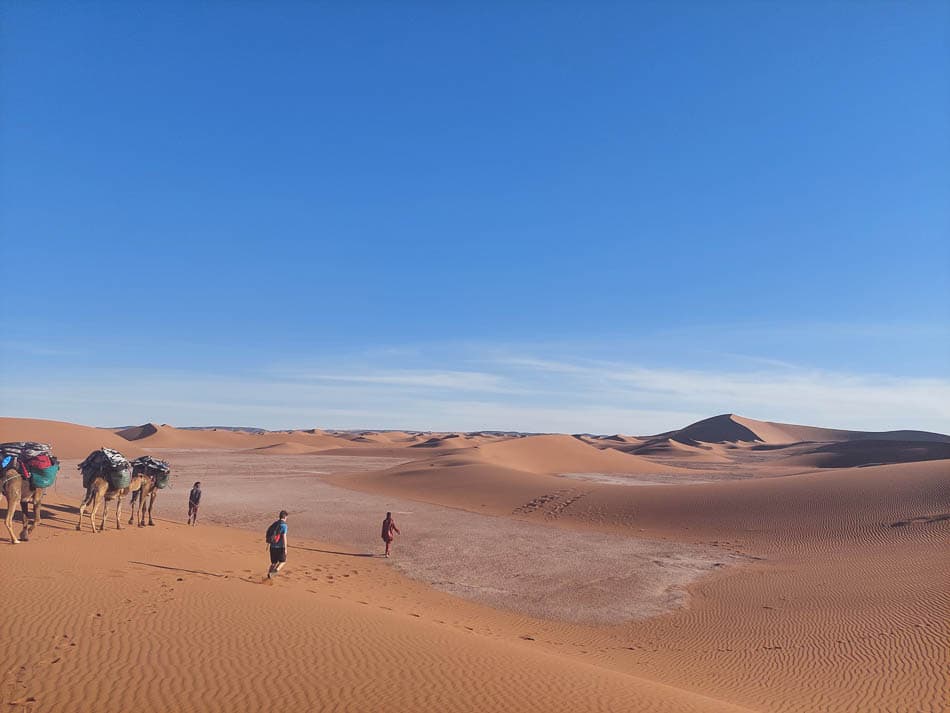 20230314 180018 Selectie Stef Aerts W950