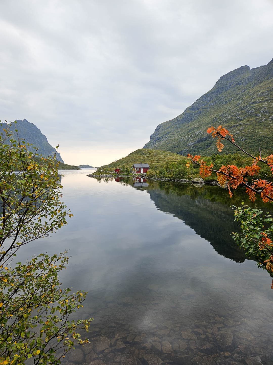 NO4LFA Cedricon 2024 (8) Cedric On 1080