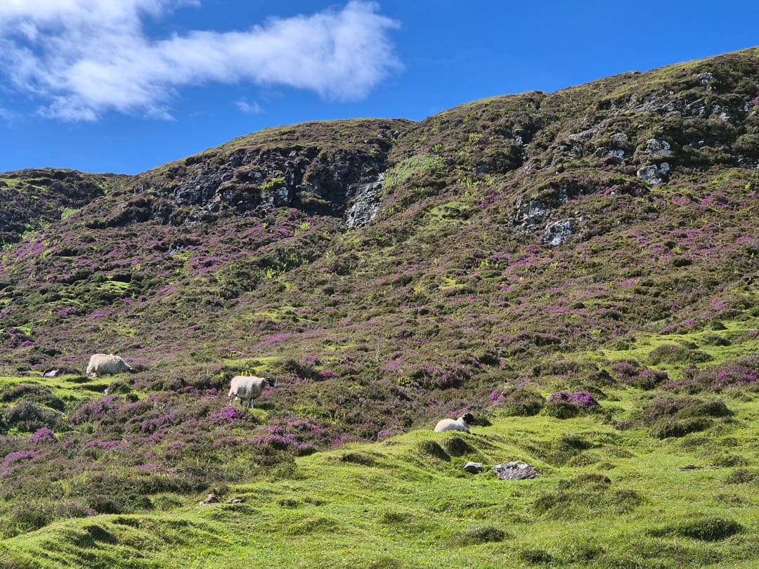 20240714 154046 1080