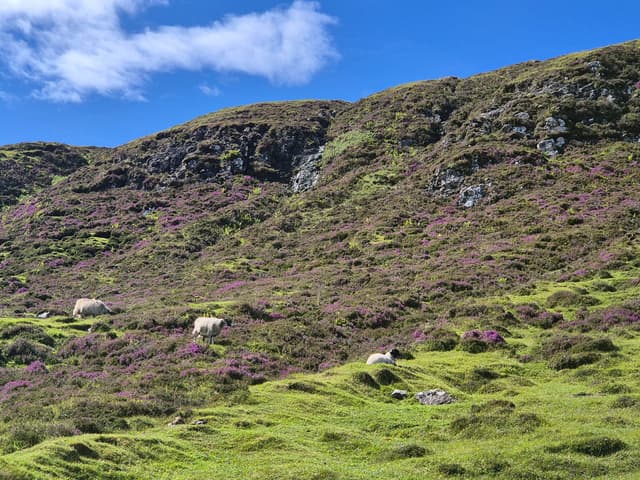 20240714 154046 1080