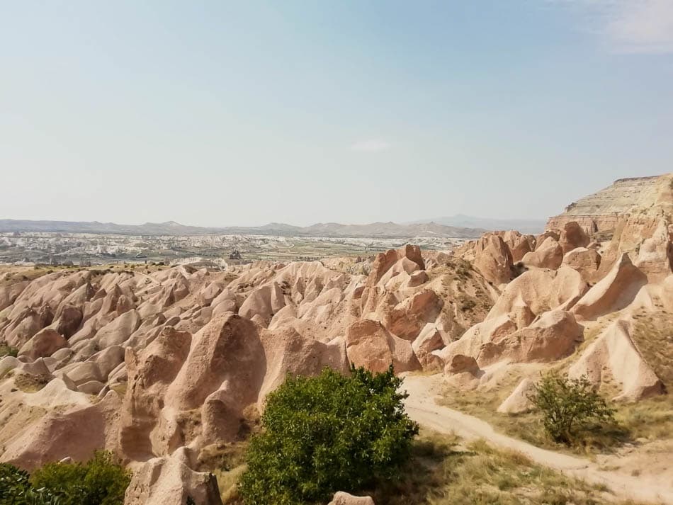 IMG_20190904_141333_Linde Fransen_w950