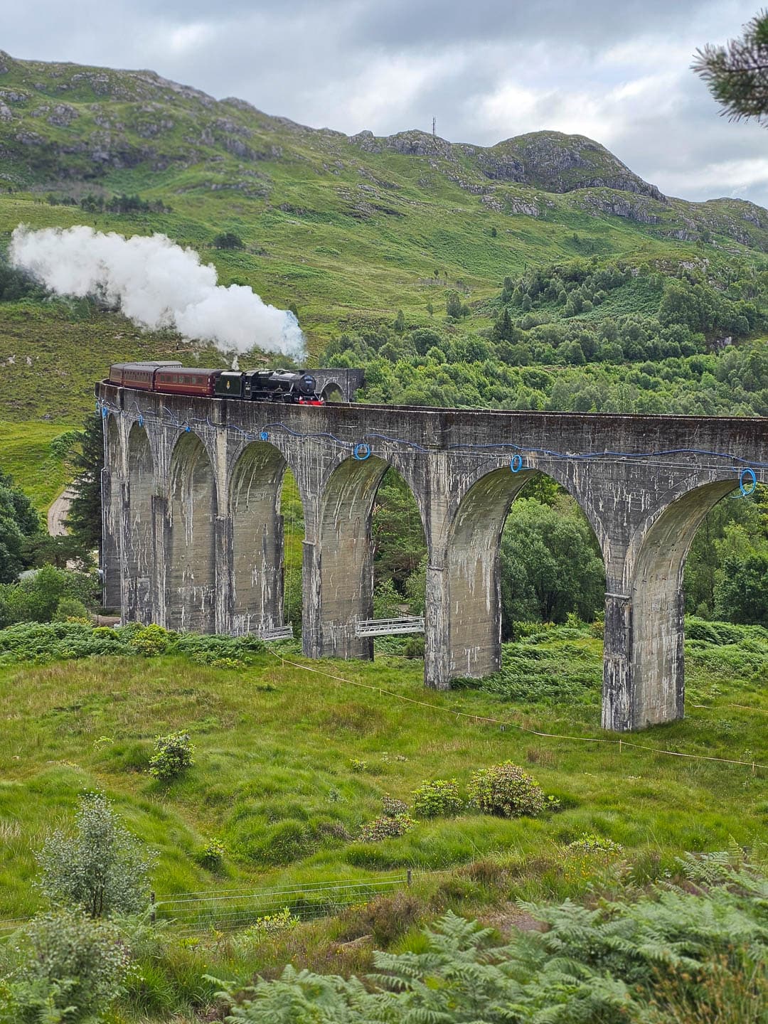 20240712 105524 1080