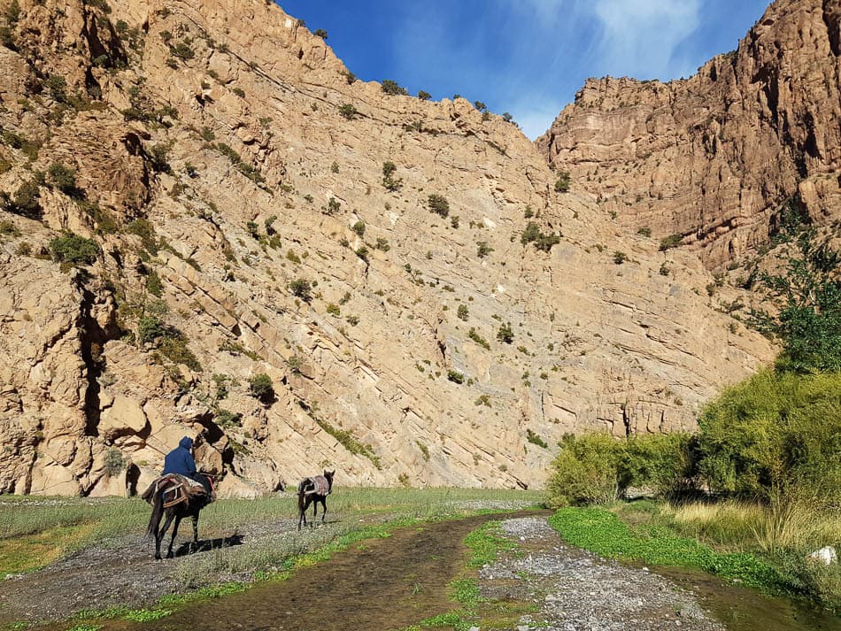 20231028 094800 Selectie Charlotte Stevens W950