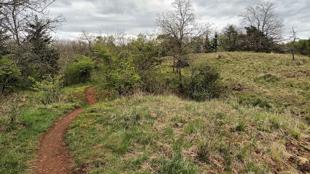 20250420 140843 1080