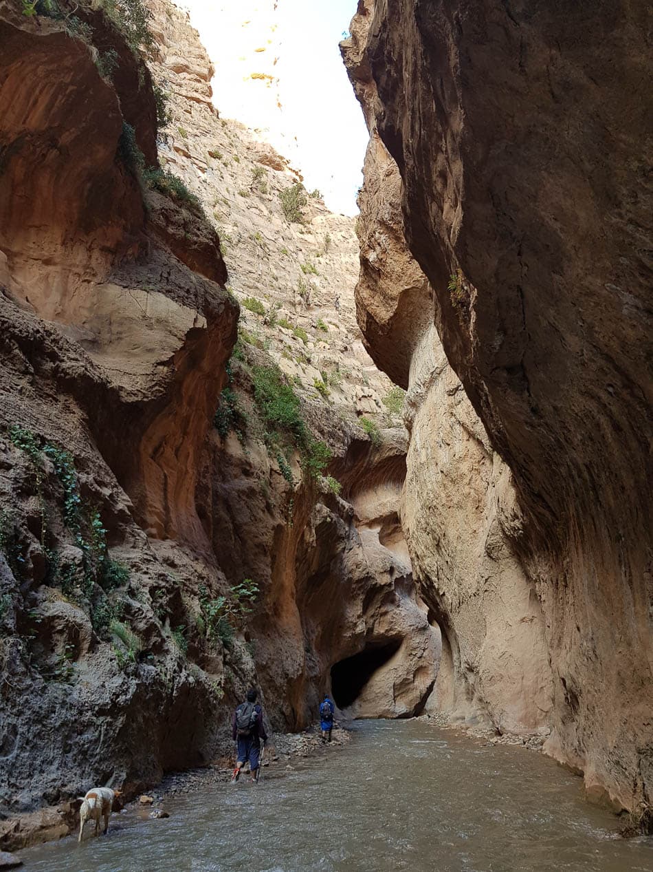 20231027 164640 Selectie Charlotte Stevens W950