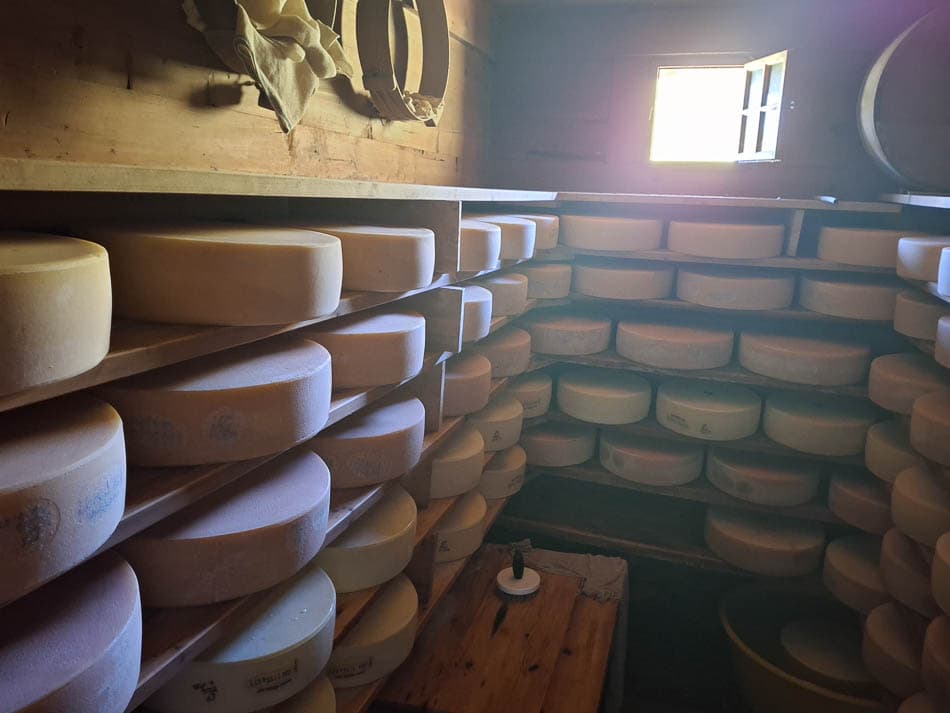 20240809 103214 Filip Dehaene Prospectie Filip Dehaene W950