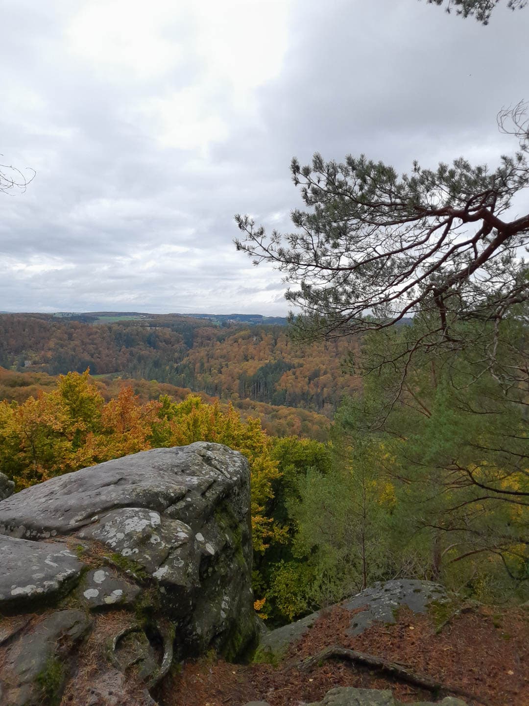 20231030 130313 Tine Decosemaker 1080