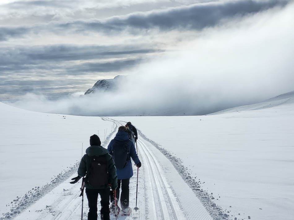 20230322 102921(0) Lucas NO4RDW Lucas Wittevrongel (Selectie Door Yentl) Lucas Wittevrongel W950