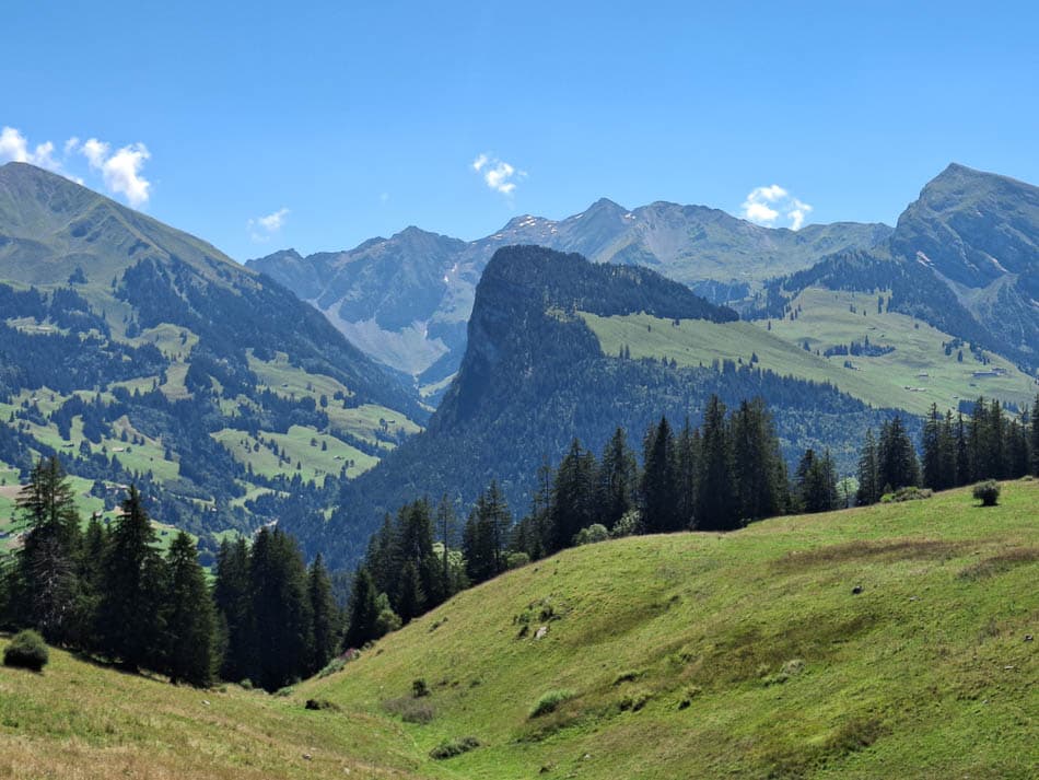 20240810 140713 Filip Dehaene (Prospectie) Filip Dehaene W950