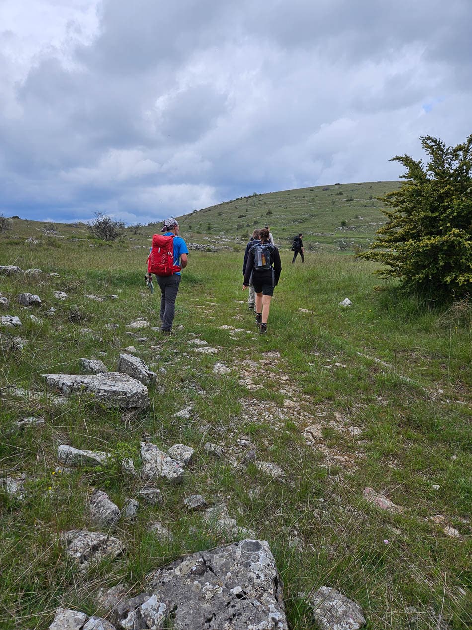 20240520 124112 Selectie Lode Masschelein W950