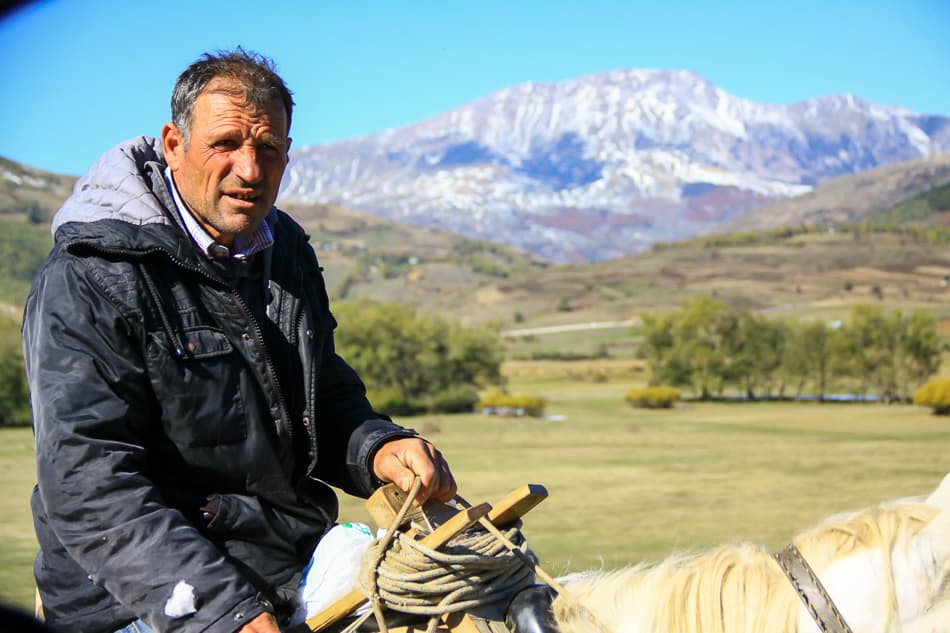 IMG_0775_export_w950 (1)