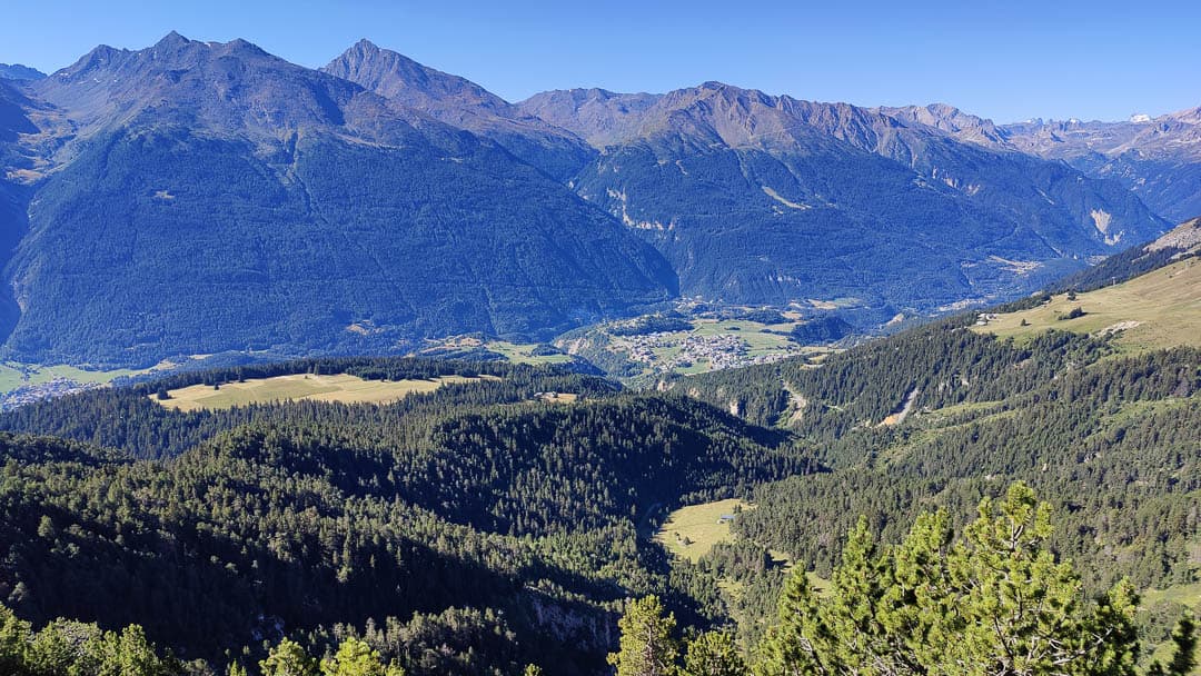 IMG20230808093727 1080