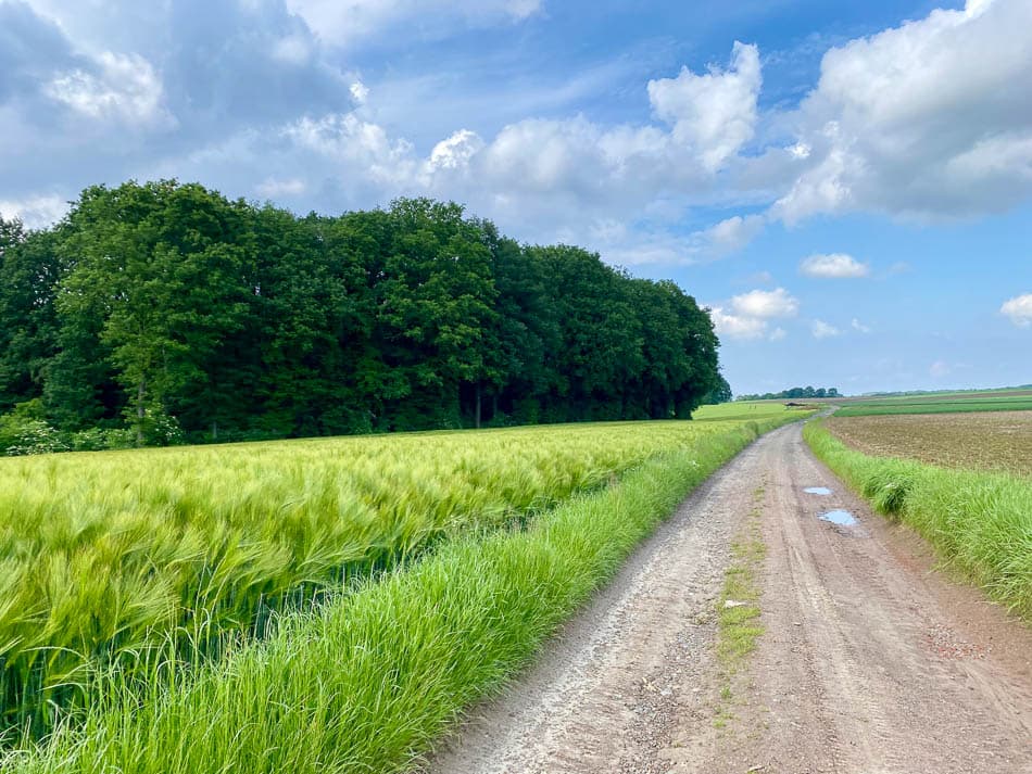 Van Bierbeek naar Nethen - Yasmin Haegeman