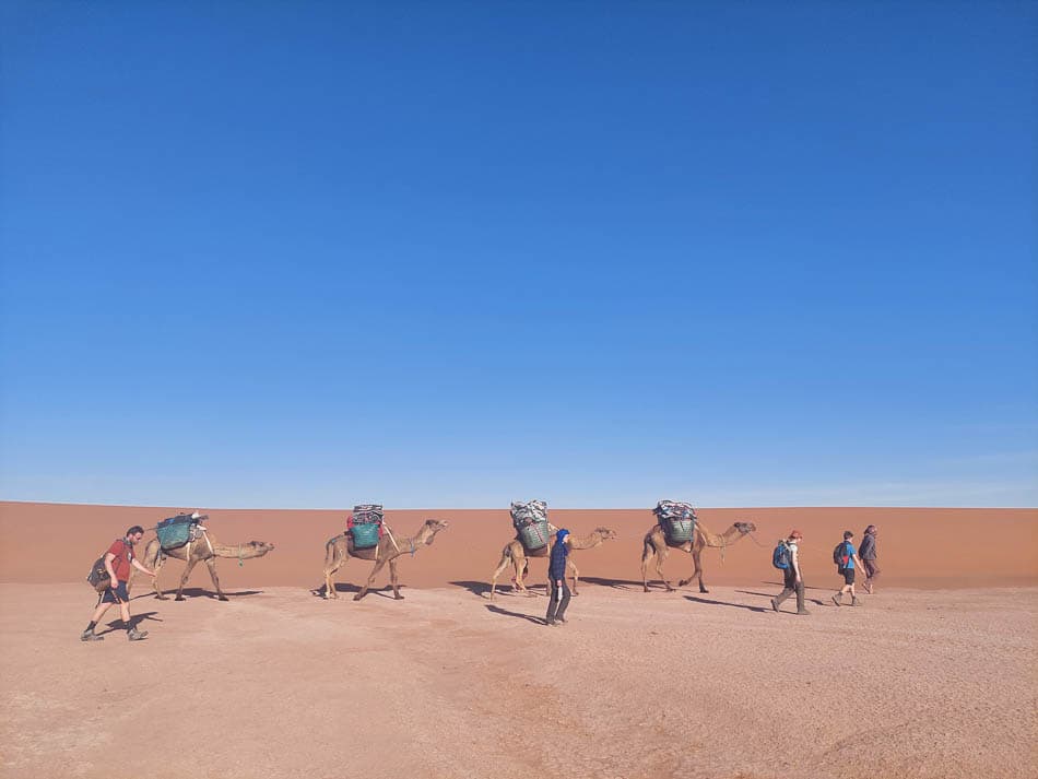 20230314 175056 Selectie Stef Aerts W950