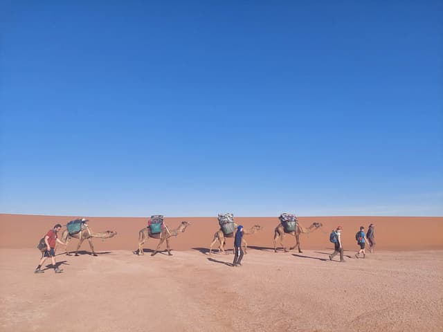 20230314 175056 Selectie Stef Aerts W950