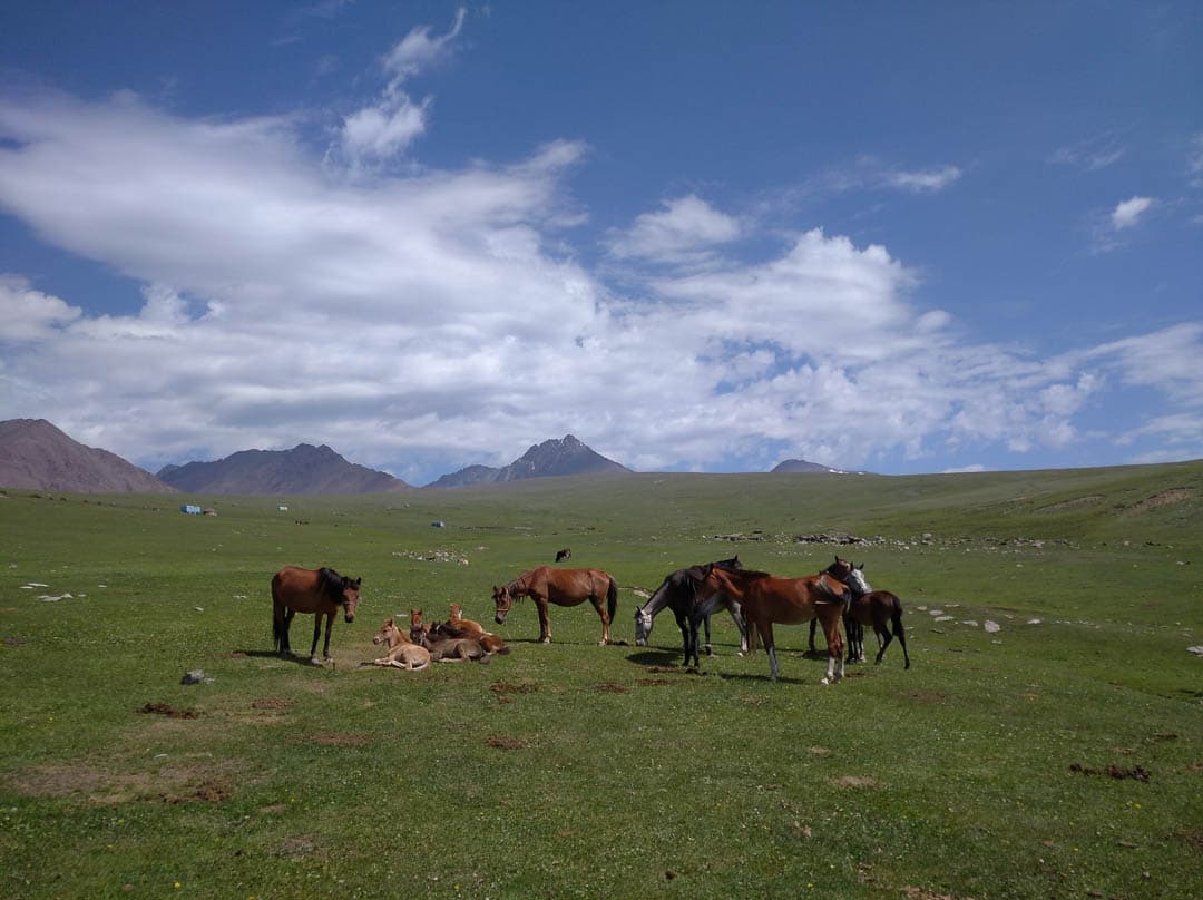 IMG 20230714 110037 1080