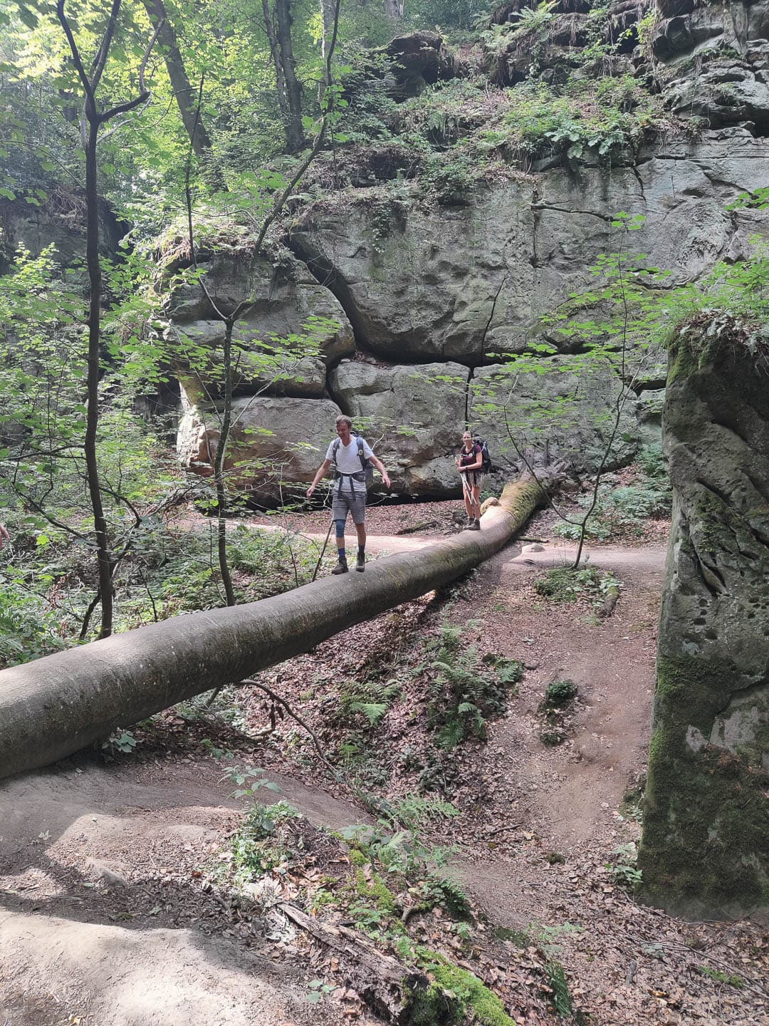 IMG 20220814 151945 David Van Der Ha 1080