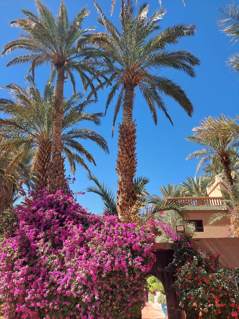 20230311 142717 Selectie Stef Aerts W950