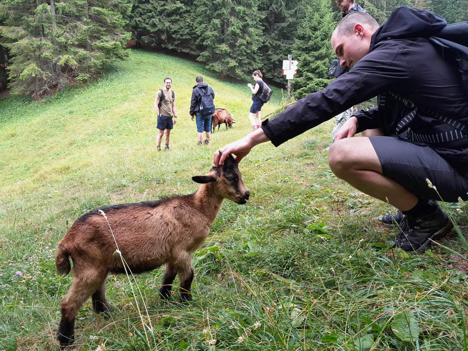 20240723 150122 Selectie Tom Cornelis W950