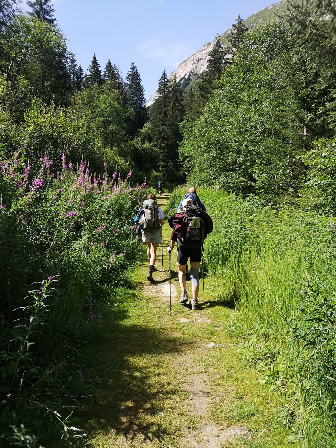 IMG 20230810 114353 1080