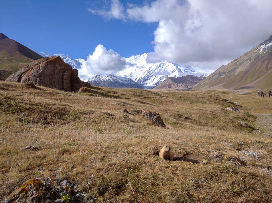 IMG 20220803 084058 1 Kirgizië Selectie Olivier Van Hoey W950