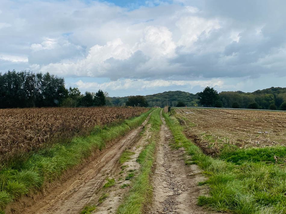 Image00007 Selectie Yesmin Haegeman W950