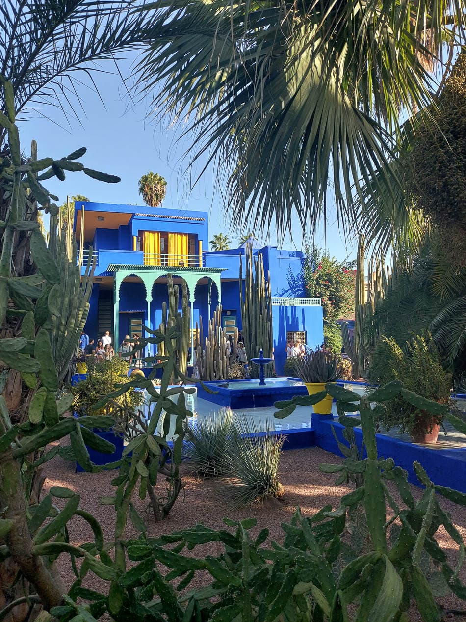 Christophe Jansen Selectie Christophe Jansen W950