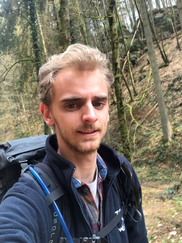 Hofmans Francis Export