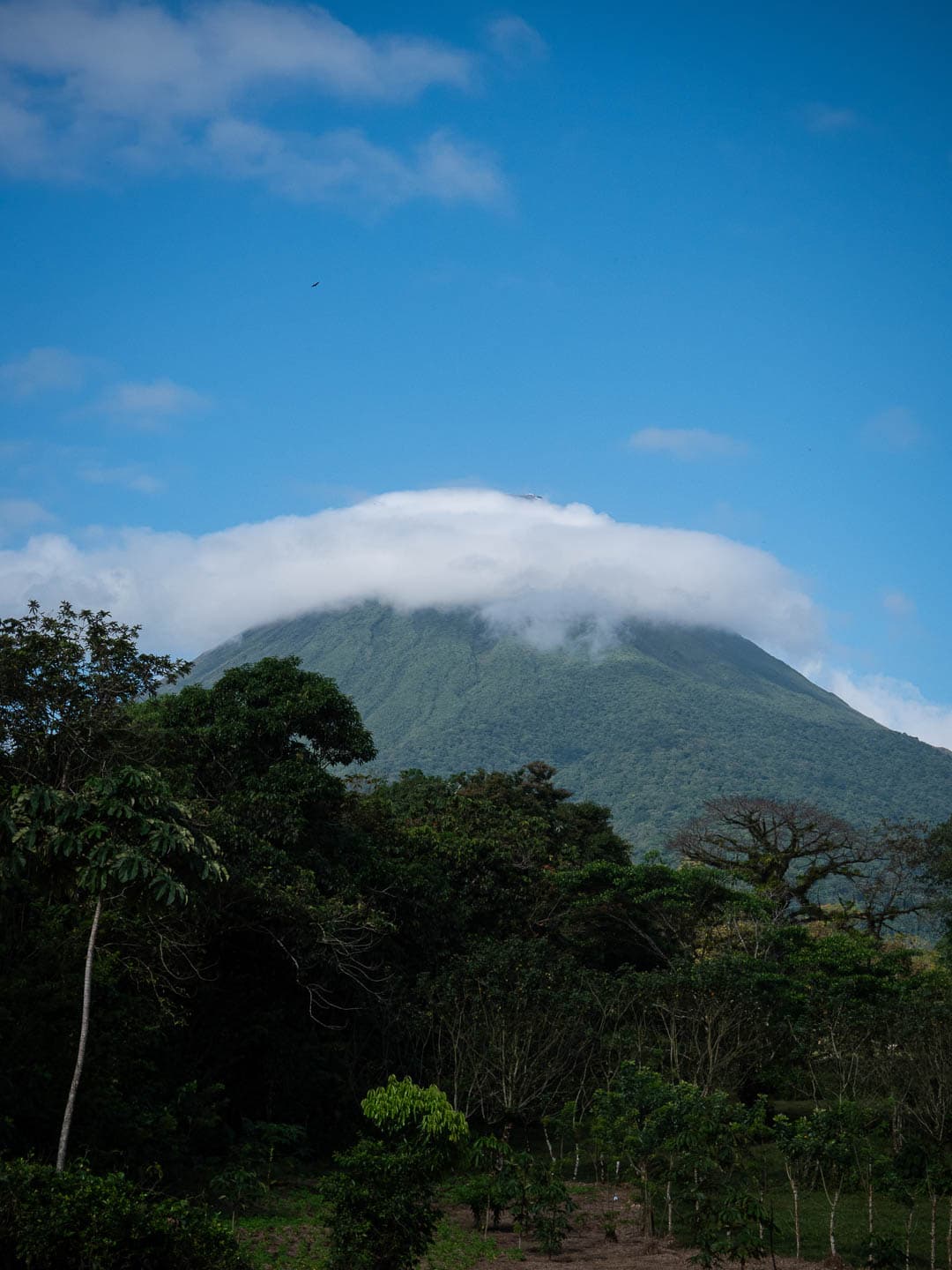 CRAT 23022024 Julie Leyers (327) Julie Leyers 1080