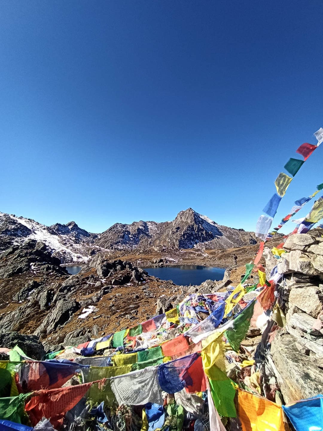 IMG 20241115 101956 1080