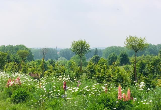 60859373_10217637925718535_8976272724250853376_n-950px