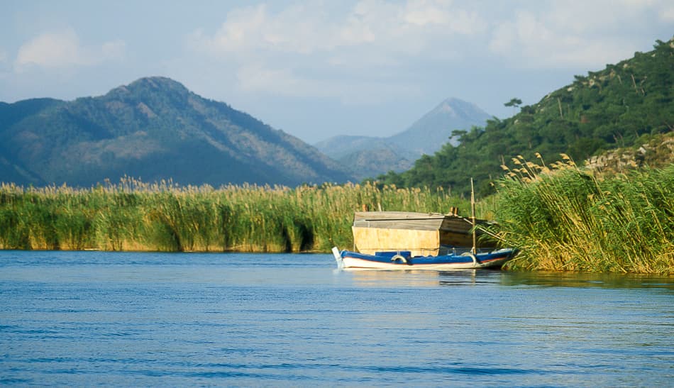 Lycie-8-Desire-Vervaeren_export_w950