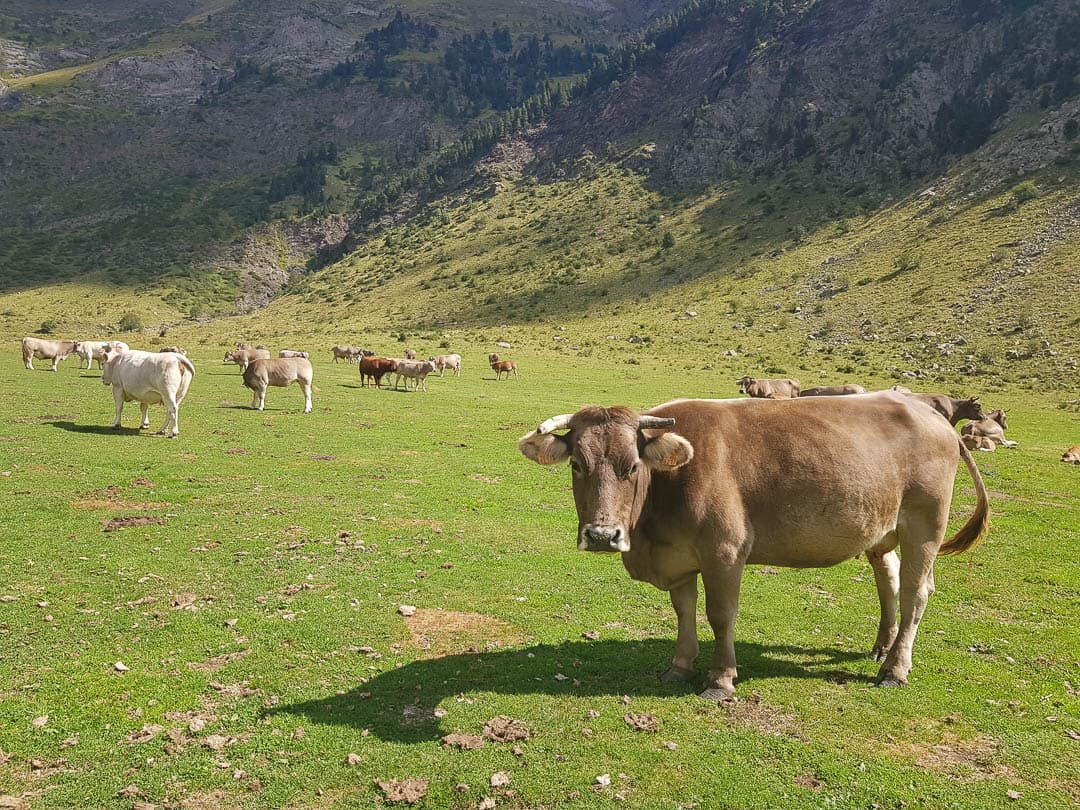 20230914 124336 1080