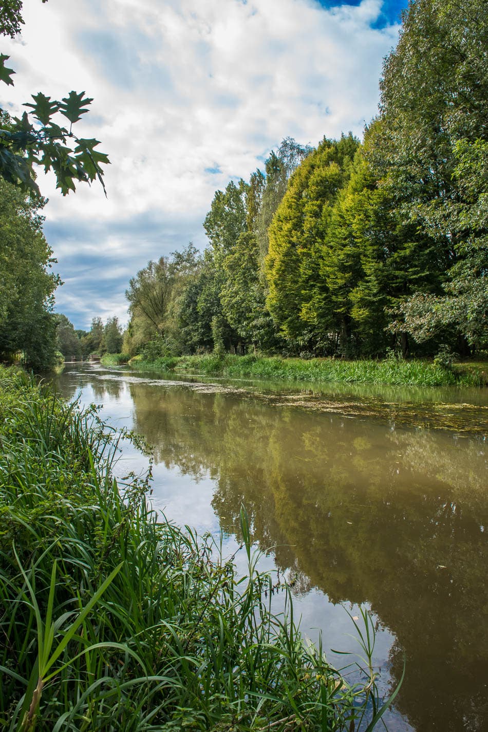 Kasterlee 253 Selectie Mie De Backer W950